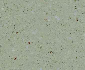 Graniite: G117 Cappuccino