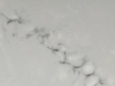 NM-205-Calcatta-Grigio1: 