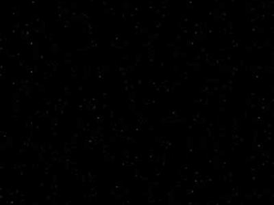 Perna: P04 Perna Black