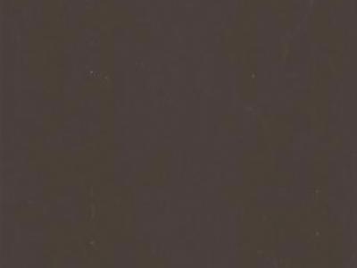 : P-106 Pure Brown