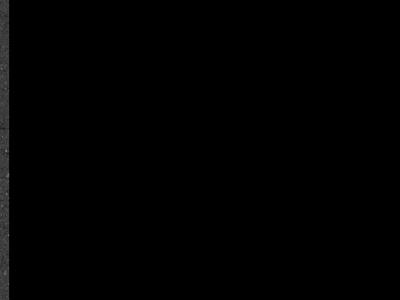 Quarry Starred QS287: Quarry Starred QS287